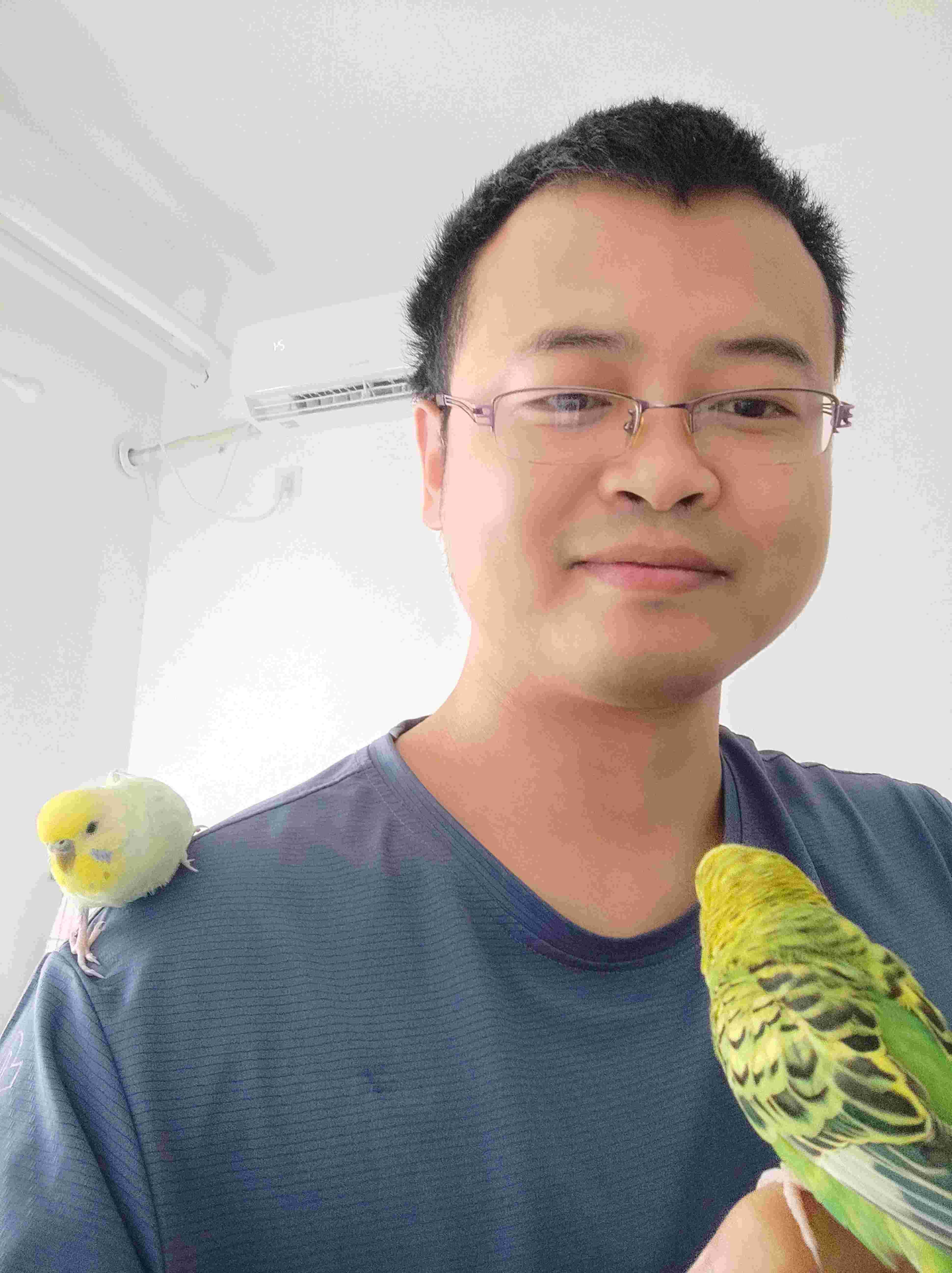 鹦鹉时间到